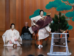 「松風」画像2